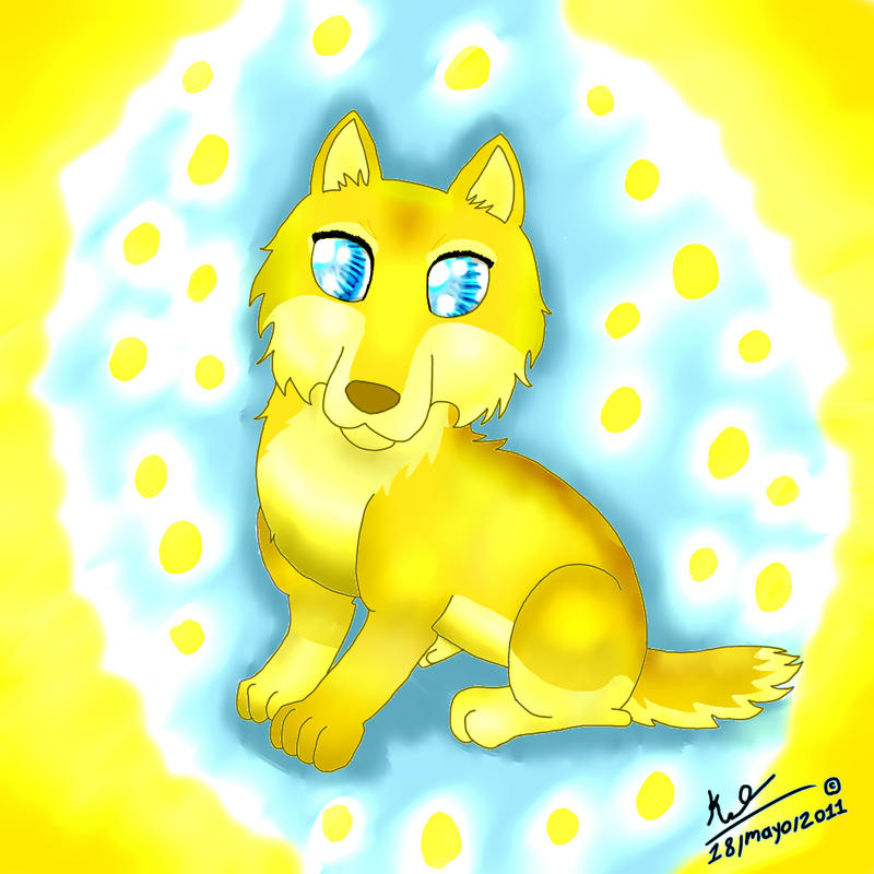 Chibi Golden wolfie