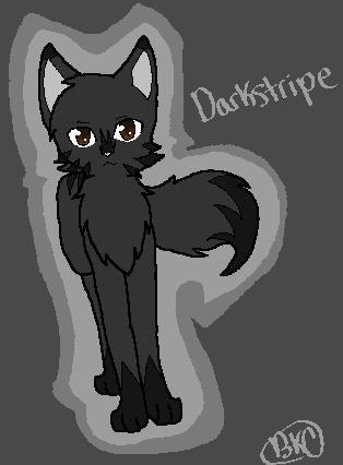 DarkStripe