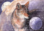 Nature Tarot: Coyote Moon by ArdenEllenNixon