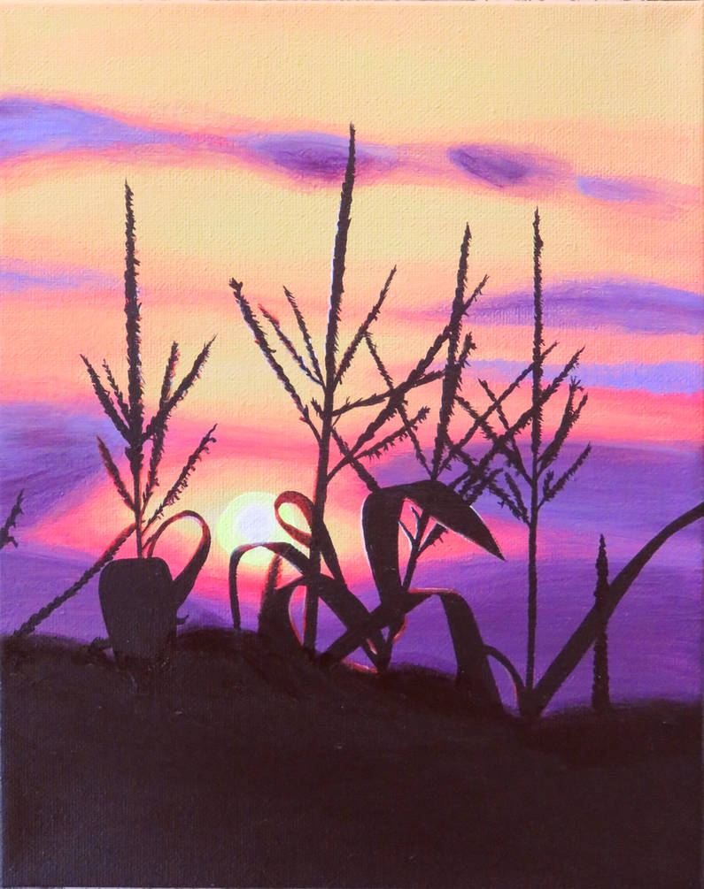 Summer corn sunset - take 2