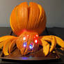 Spider pumpkin 2022