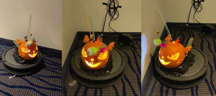 Roomba Cat, 3 views (2023 pumpkin carving)