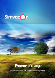 Simvacore Brochure cover