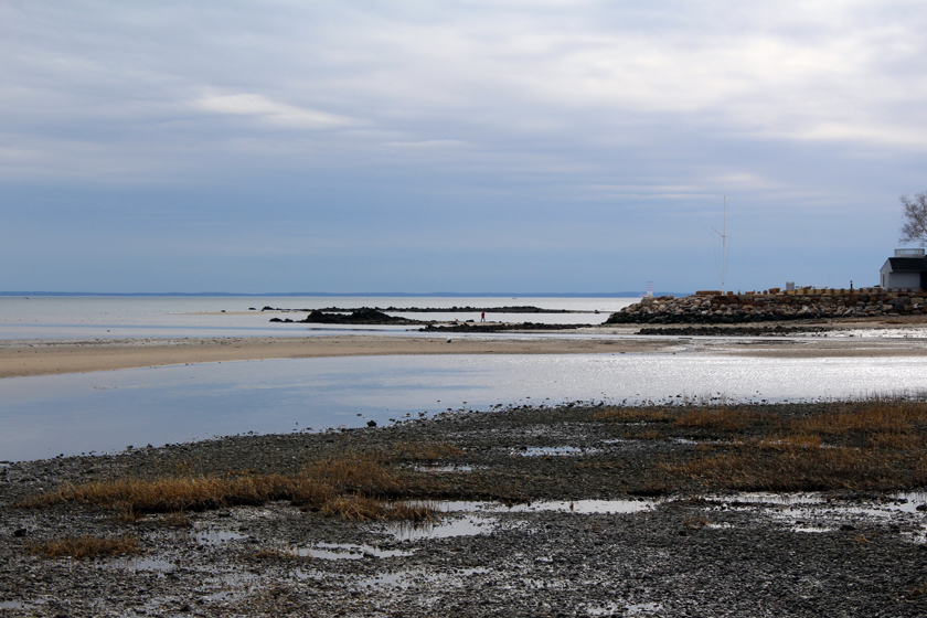 Old Mill Beach 02 04 16 d