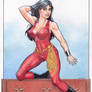 Donna Troy 2