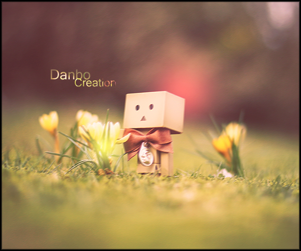 Danbo's Creation 2.0