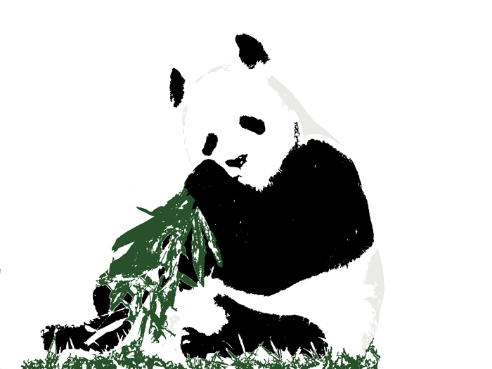 Panda for a T