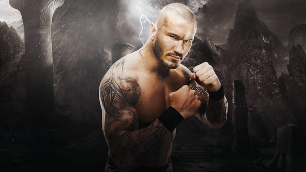 Randy Orton Wallpaper for tour!