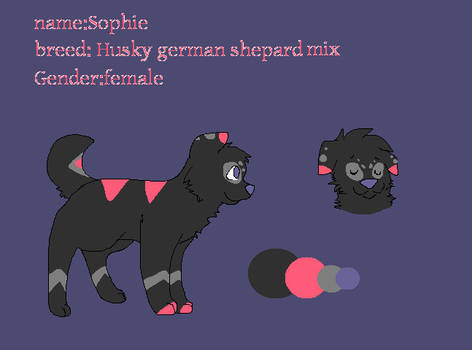 sophie ref