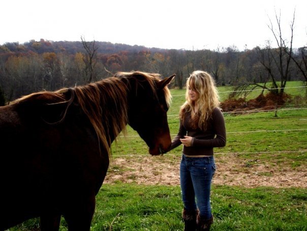 Horse Therapy