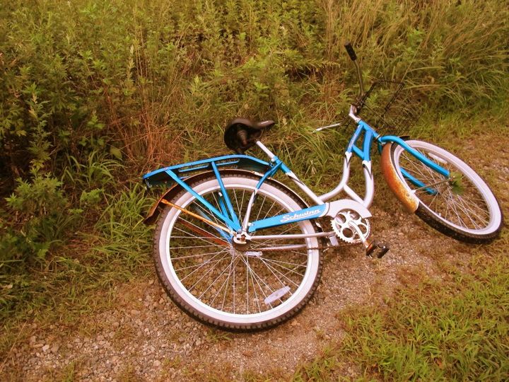 The Blue Bike