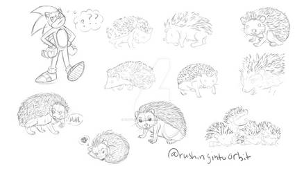 Hedgehog practice