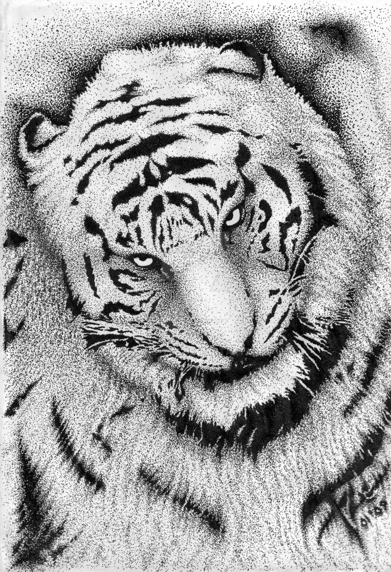 White Ink Tiger