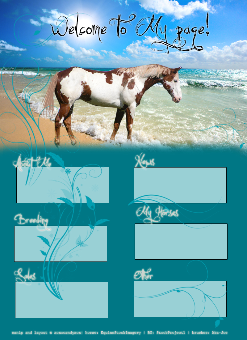 Beach Horse layout