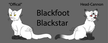 Warrior Cats - Blackstar of ShadowClan