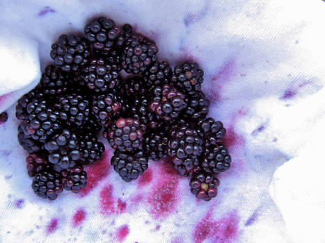 portland black berries