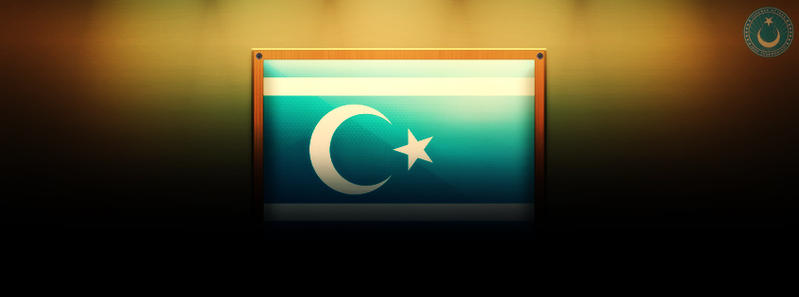 Flag Of TURKMENELI