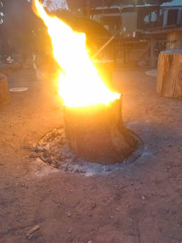 Fire inside a hollow log