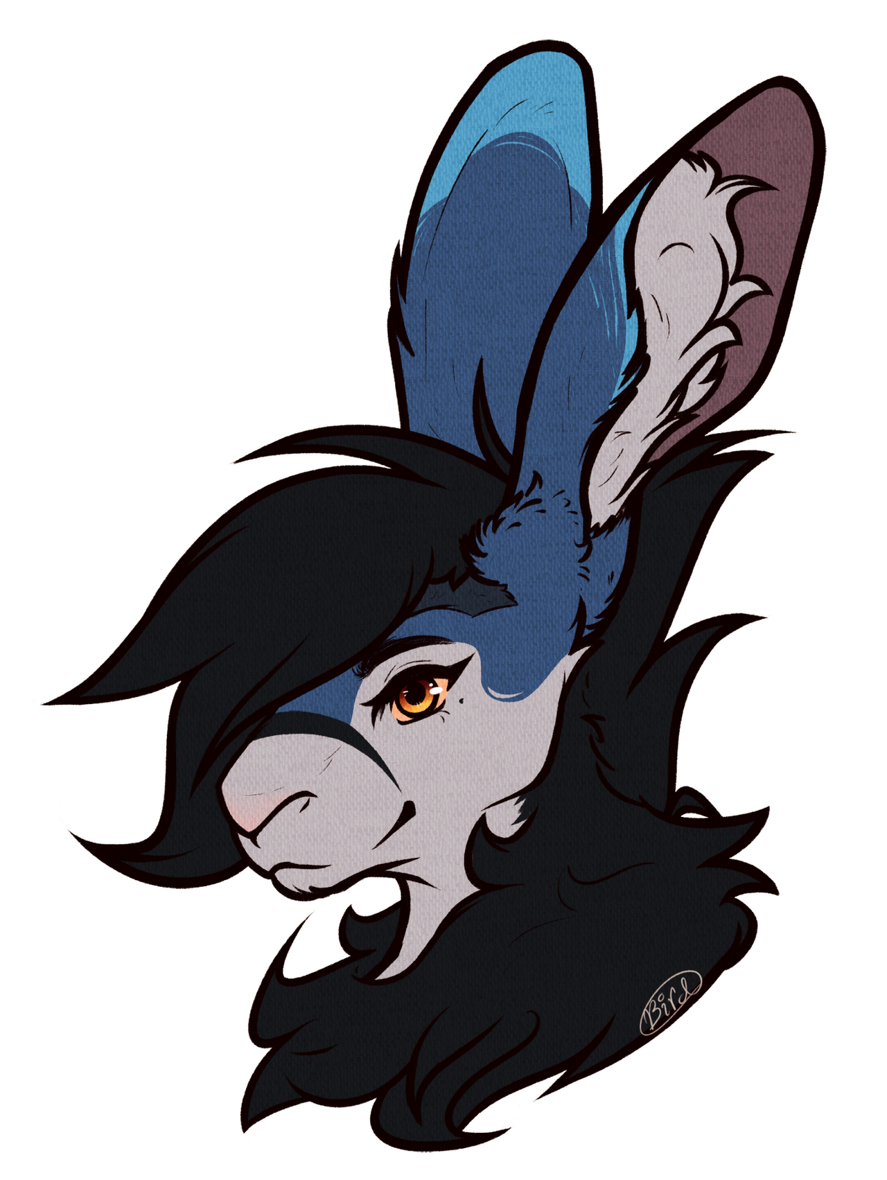 ~Jay Bunny~ by A-Mischievous-Bird on DeviantArt