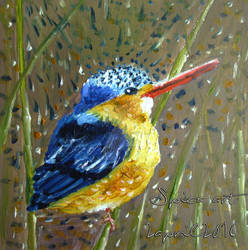 Kingfisher / Oil painting