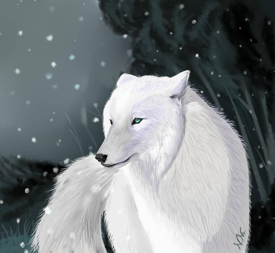 White wolf by Blue-Gold56 on DeviantArt