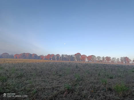 The Moon on an Autumn Morning