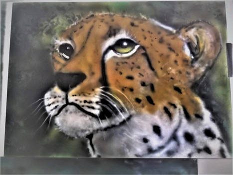 Airbrush on Di - Bond Leopards  (7)