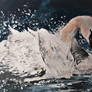 Millpond Swan 12 x 10 canvas  (1)