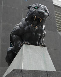 Panther 1