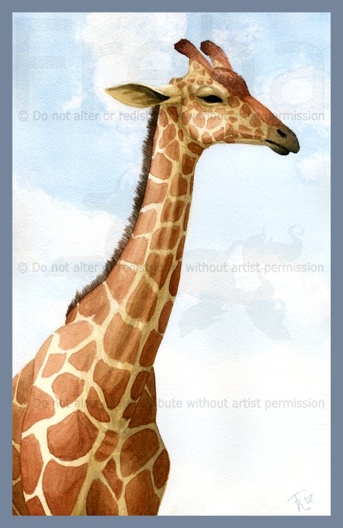 Watercolor Photo-study Giraffe