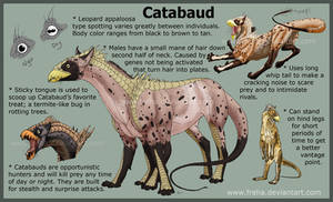 The Catabaud