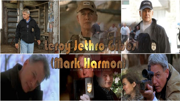 Mark Hamron in NCIS