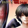 Broken Wings ~ Volume 2 Cover