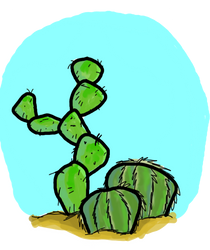 Some Cactus