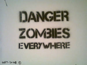 Danger Zombies Everywhere