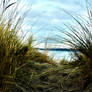 HDR Beach Grass