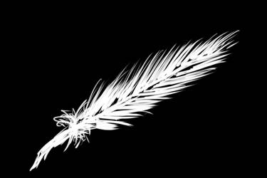 Feather