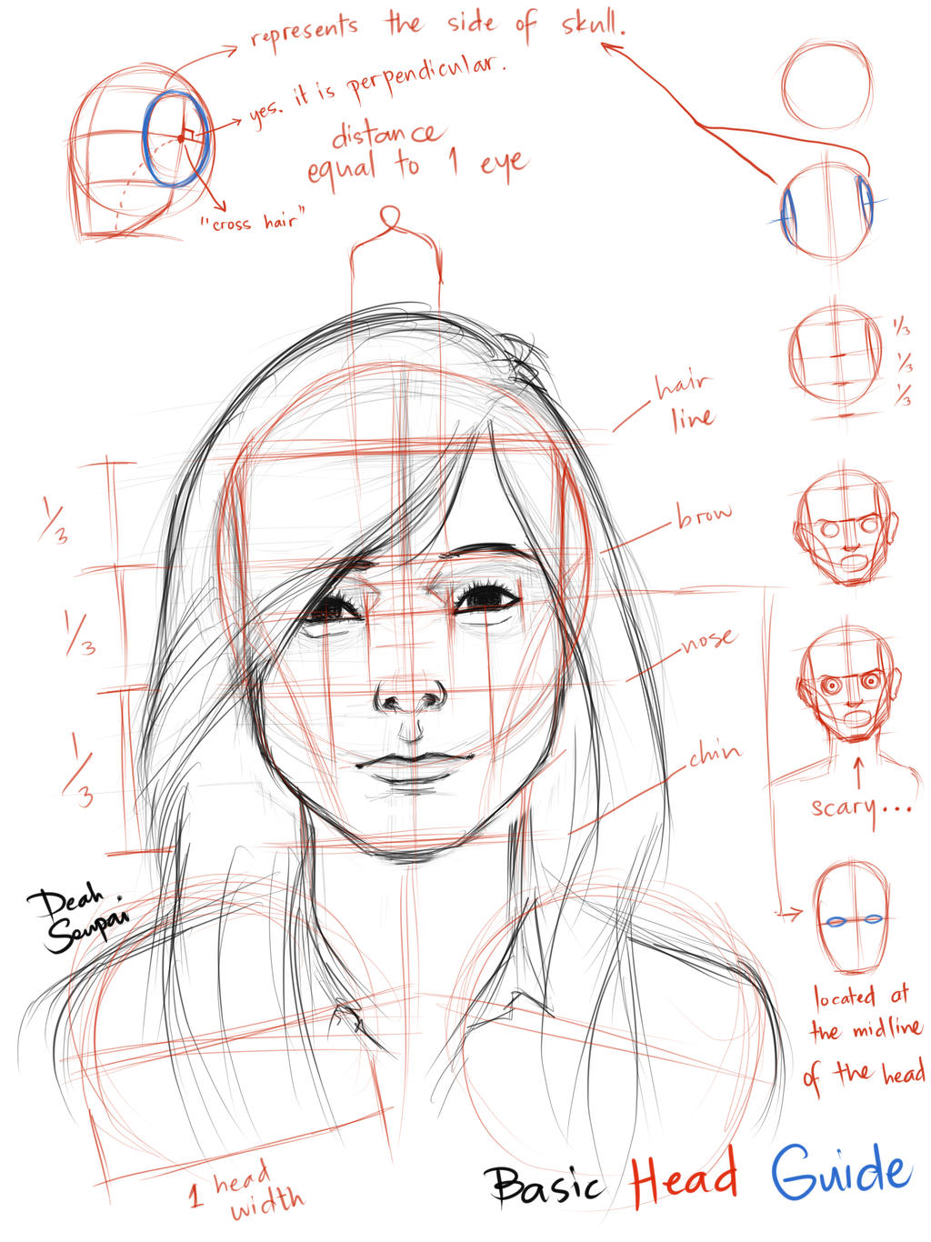 Basic Head Guide by jamesnidea on DeviantArt