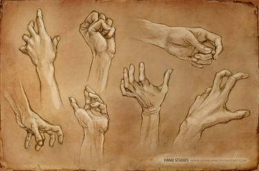 Hand Studies