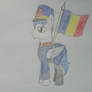 Pony Romanian army honor guard