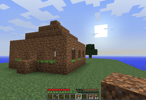 The Ultimate Survival Island House