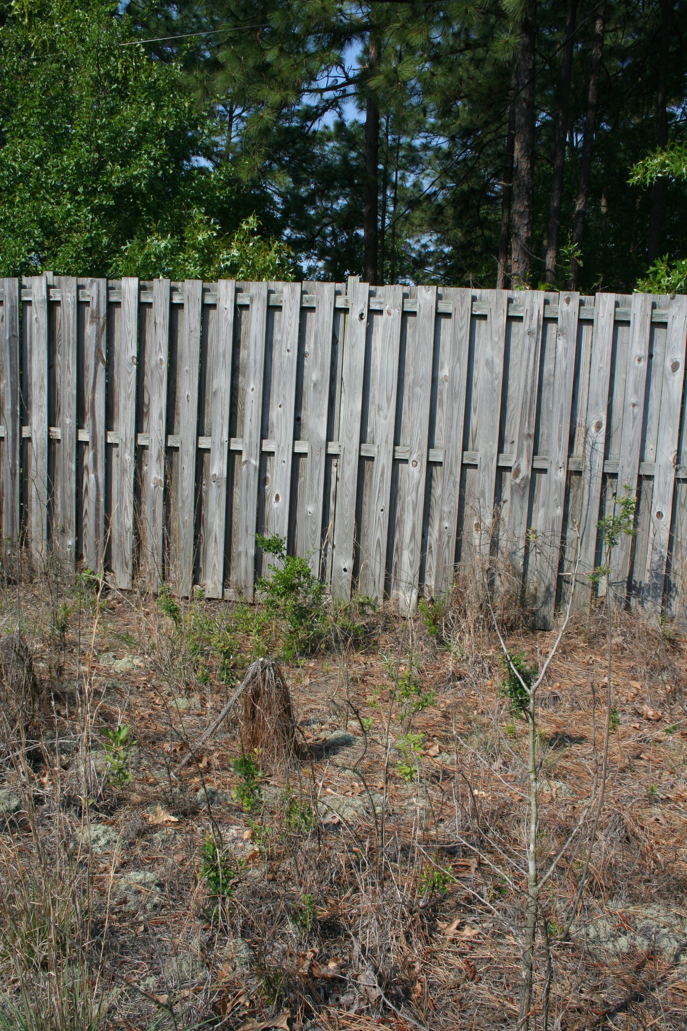 straight on fence