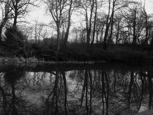 December on the canal (Black and White)