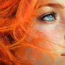 Dreaming in Tangerine
