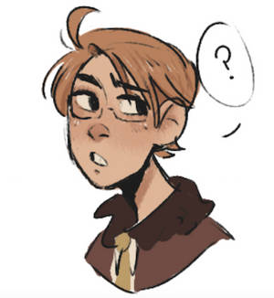 APH America Doodle