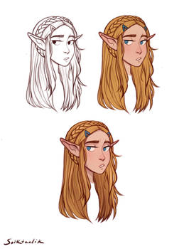 Princess Zelda Process