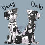 Darcy, Darby