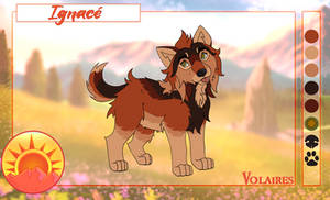 TOW - (Volaires) Ignace