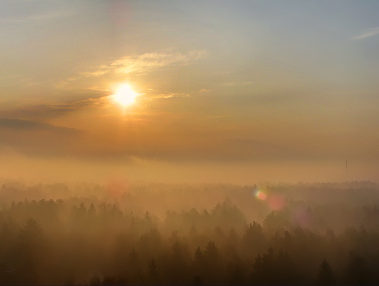 Morning fog