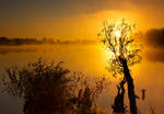 Another Morning Scenery by DeingeL